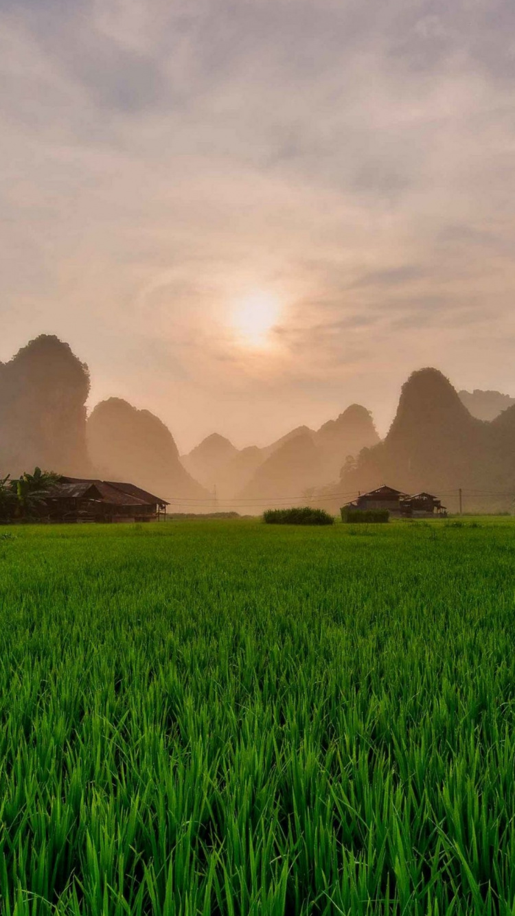 Обои поле, смартфон, природа, природный ландшафт, горный рельеф в разрешении 750x1334