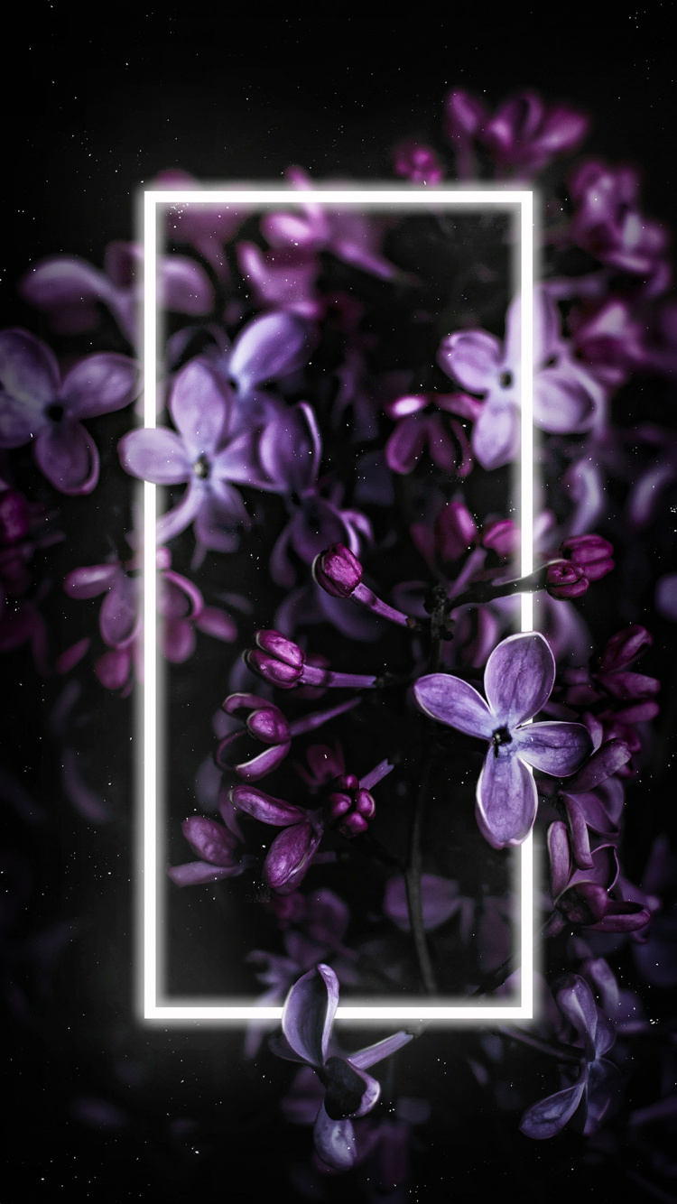 Обои сирень, смартфон, цветок, пурпур, лепесток в разрешении 750x1334