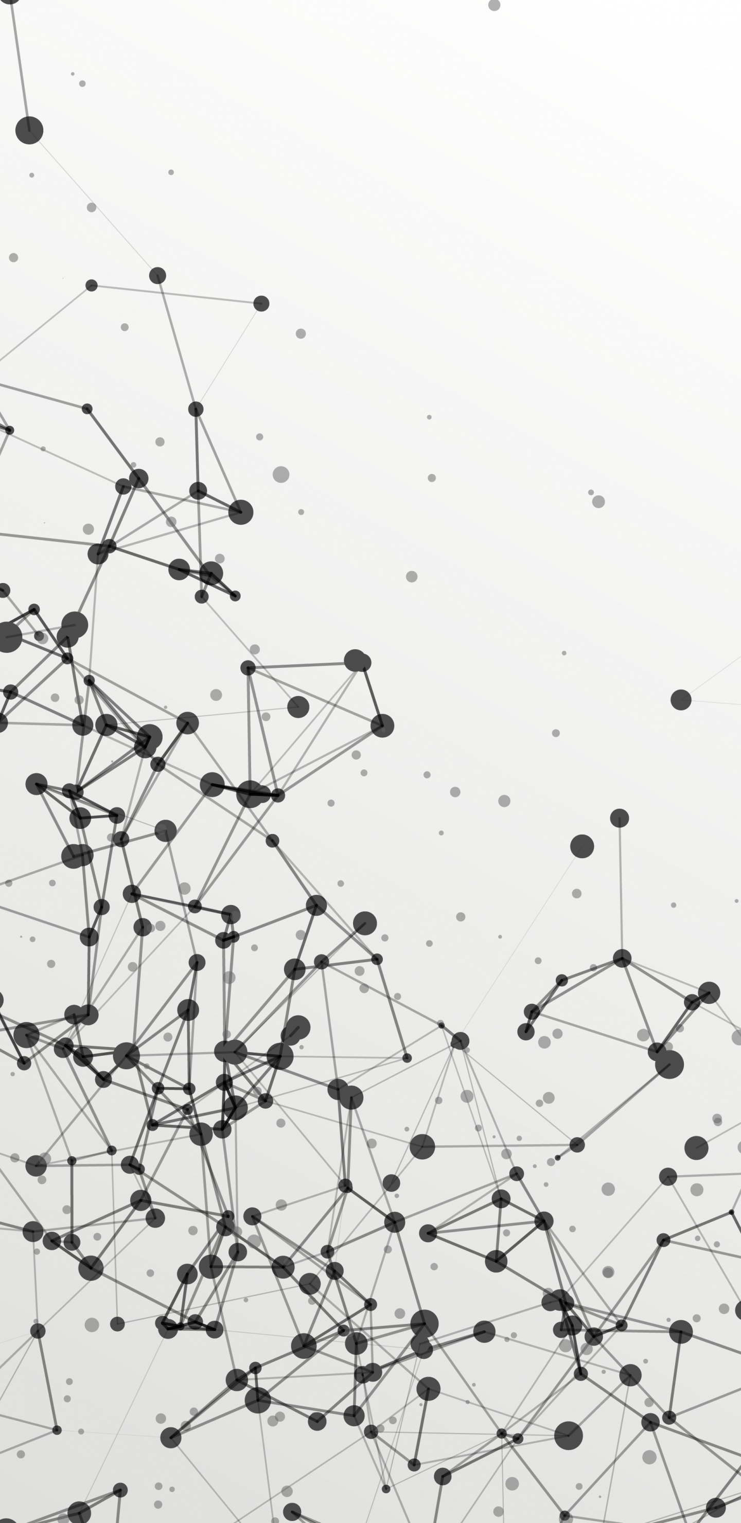 Обои арт, узор, круг, монохромный, склон в разрешении 1440x2960