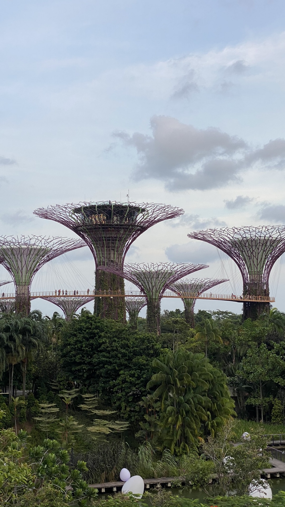 Обои Сингапур, Марина Сити Парк, Сады у залива, Марина Бэй Сэндс Сингапур, парк в разрешении 1080x1920