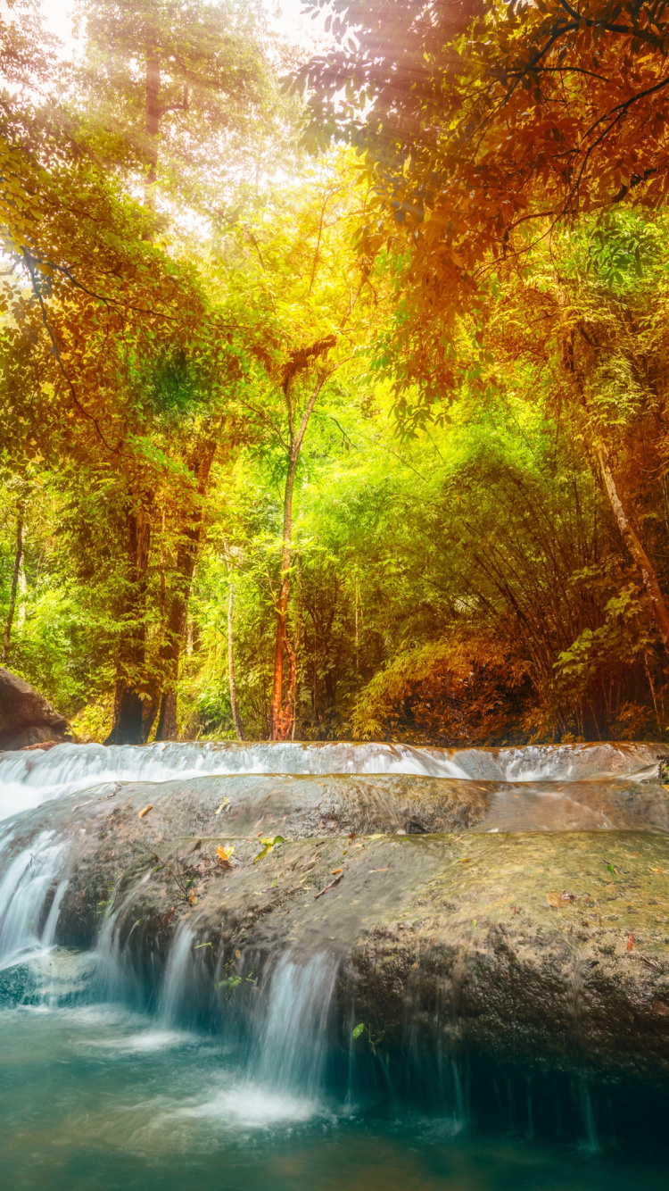 Обои пейзаж, водопад, природный заповедник, водоем, природа в разрешении 750x1334