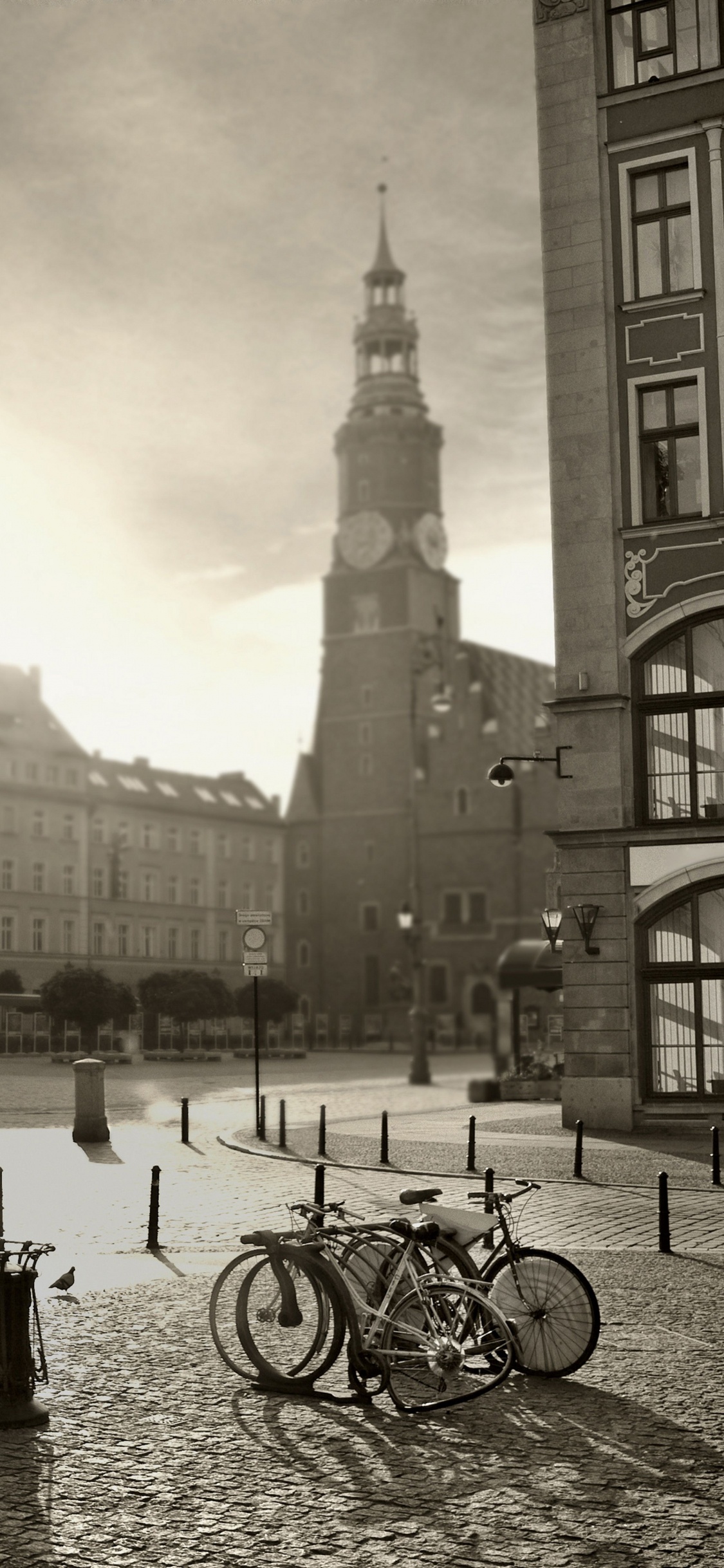 Обои главной рыночной площади, город, архитектура, ориентир, городок в разрешении 1125x2436