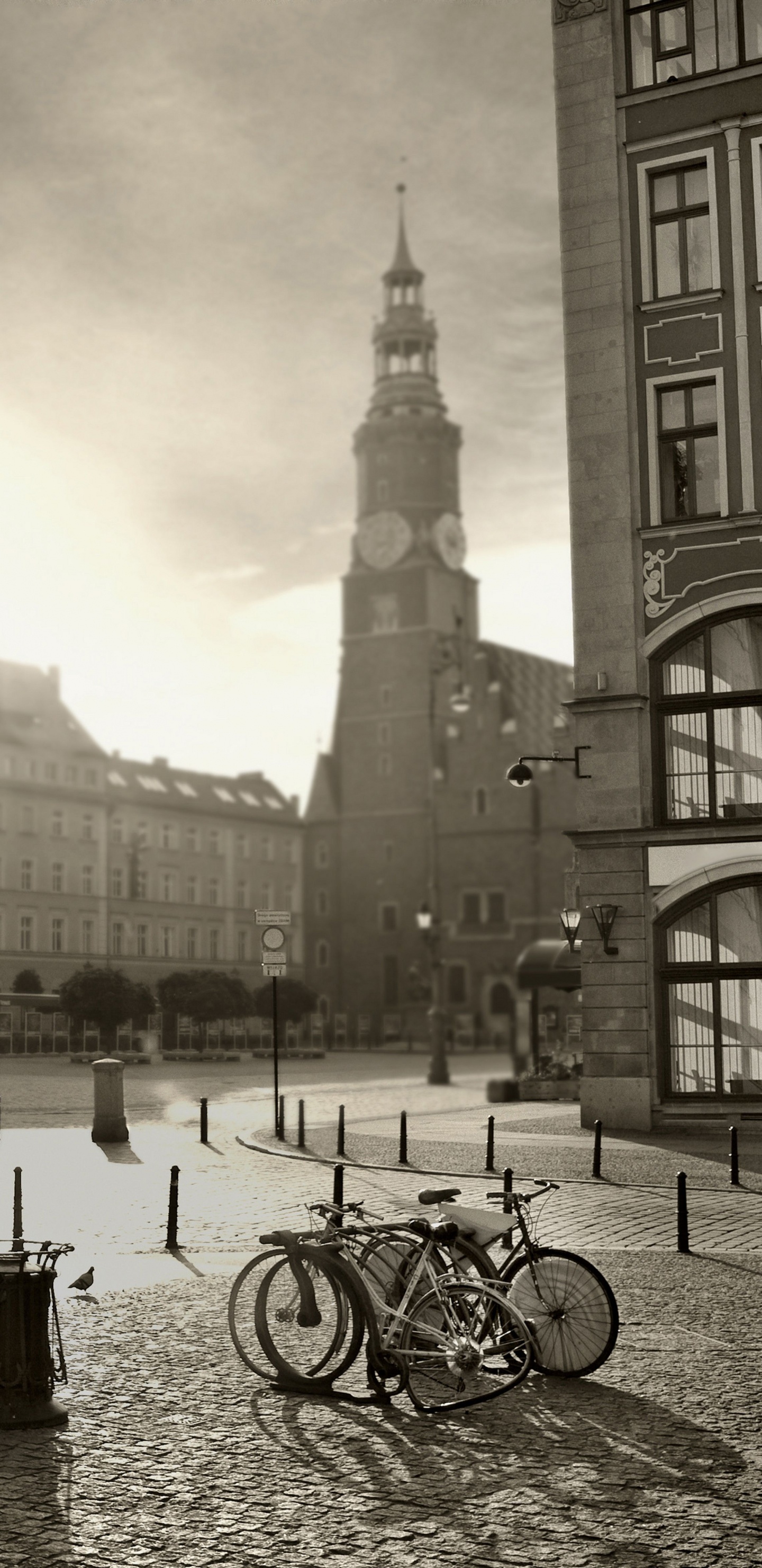 Обои главной рыночной площади, город, архитектура, ориентир, городок в разрешении 1440x2960