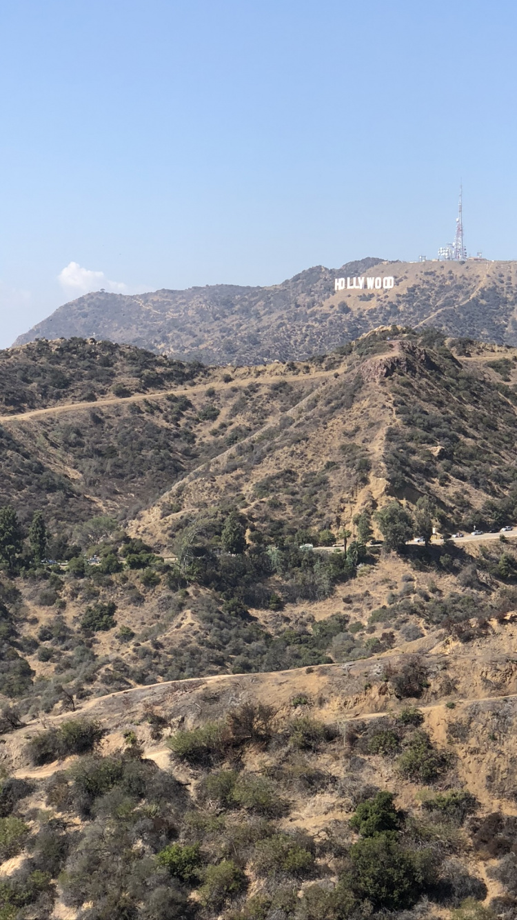 Обои Знак Голливуда, горный рельеф, растительное сообщество, холм, нагорье в разрешении 750x1334