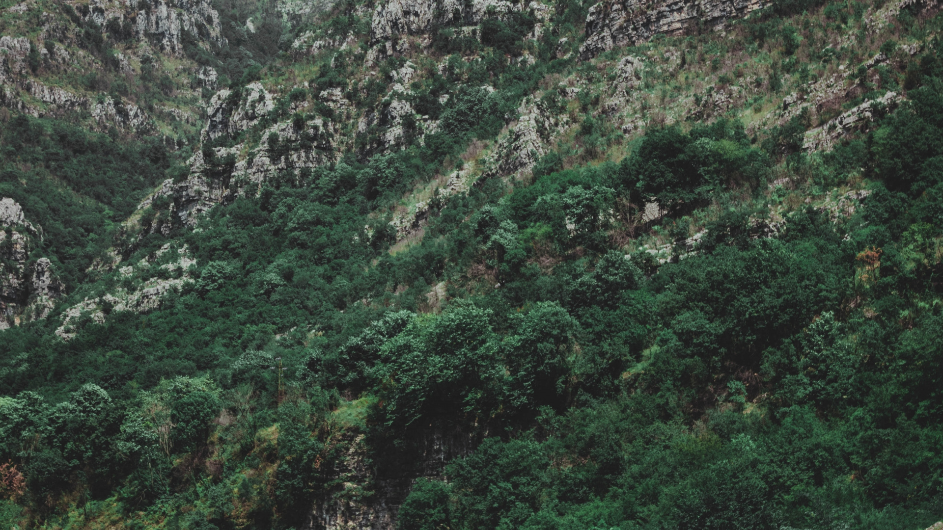 Обои вода, природа, дикая местность, природный заповедник, горный рельеф в разрешении 1920x1080