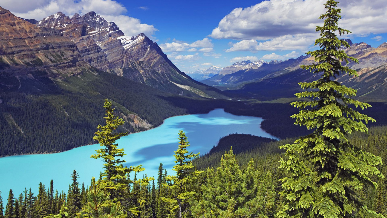 Обои озеро пейто, моренное озеро, бирюзовое озеро, банфф, озеро в разрешении 1280x720
