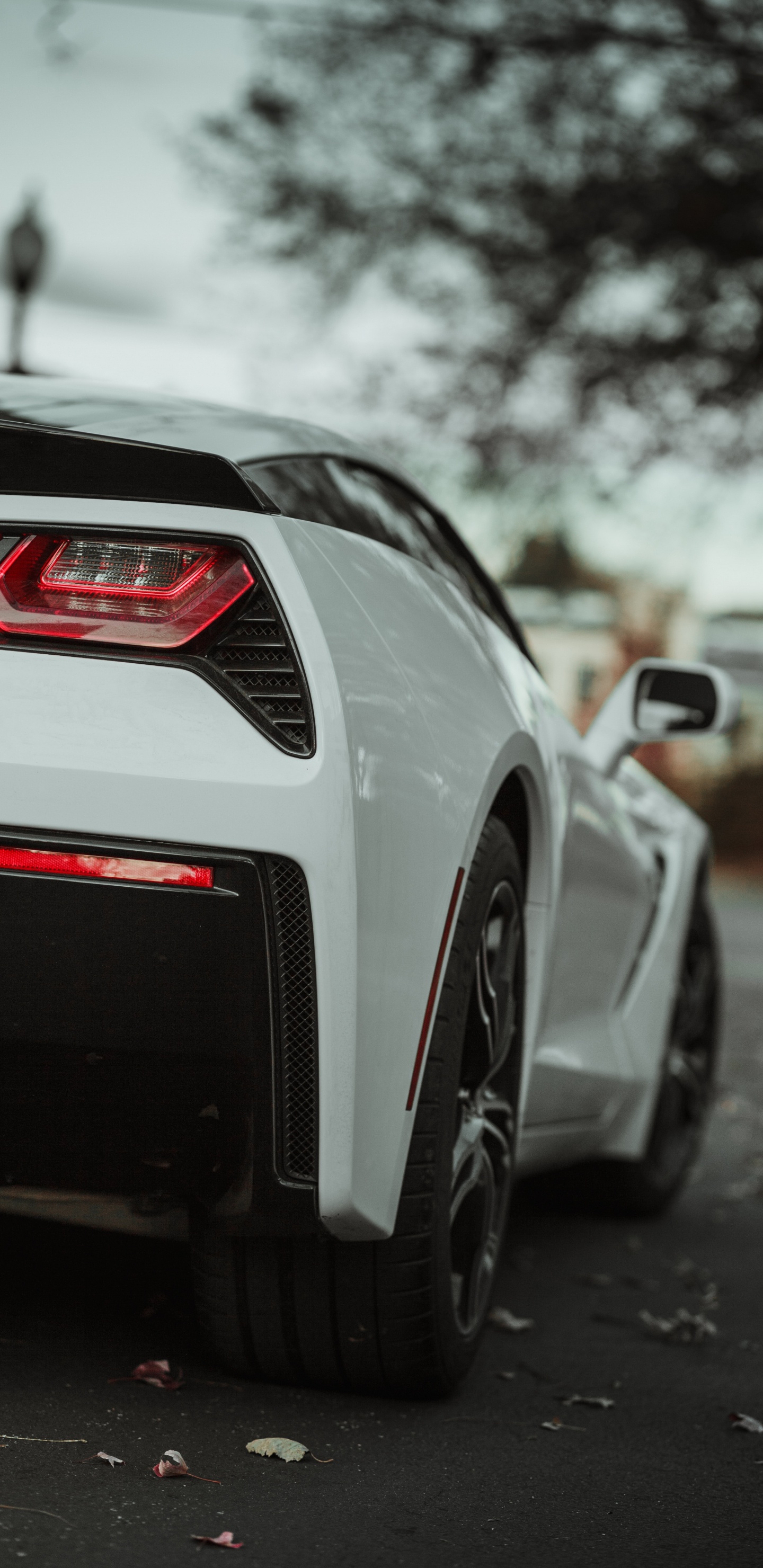 Обои спорткар, кузов купе, белые, колесо, суперкар в разрешении 1440x2960