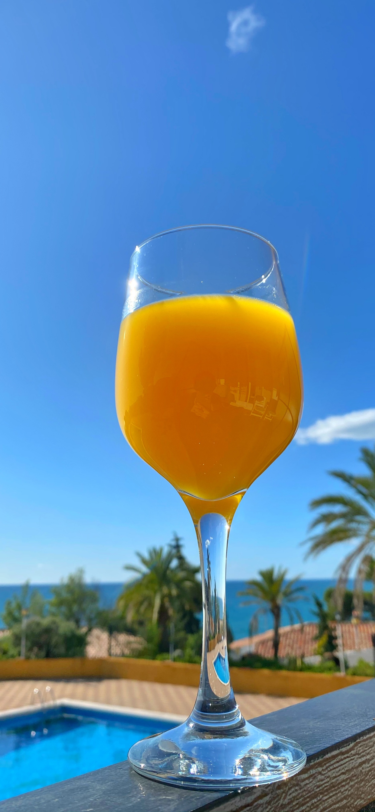 Обои напиток, Беллини, вино, сок, бокал для вина в разрешении 1242x2688