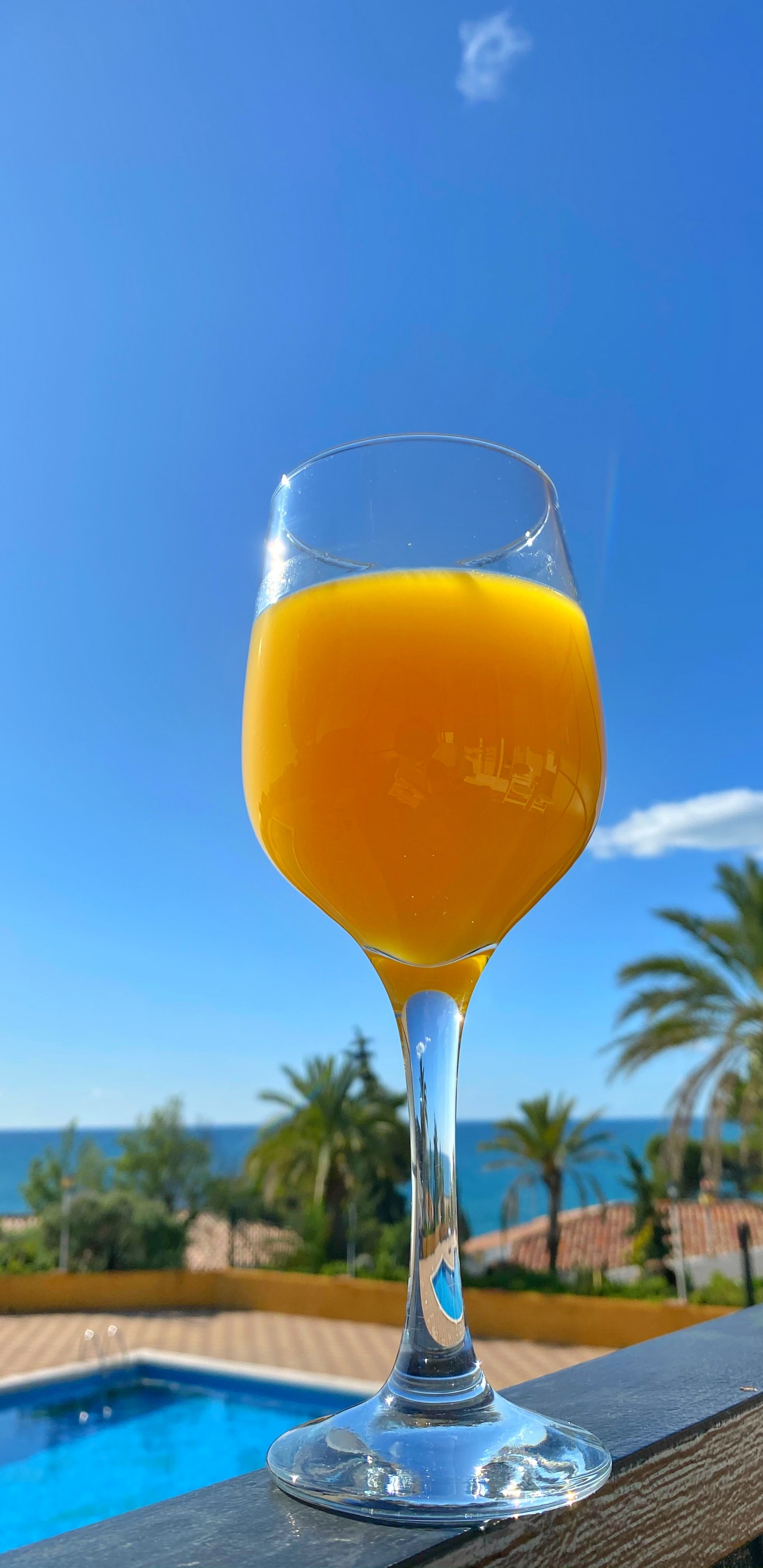 Обои напиток, Беллини, вино, сок, бокал для вина в разрешении 1440x2960