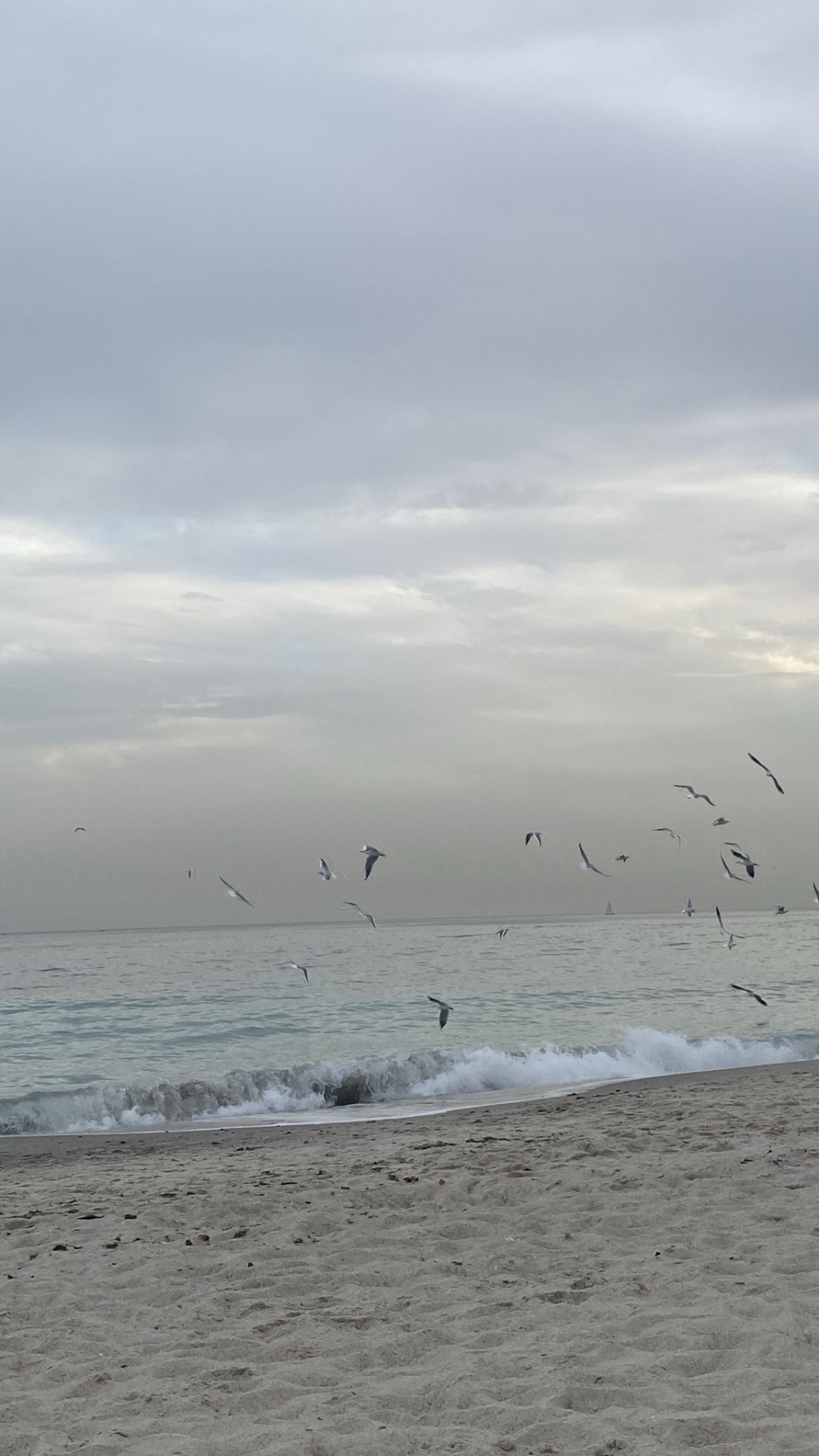 Обои море, водоем, жидкость, жидкий, окружающая среда в разрешении 1080x1920