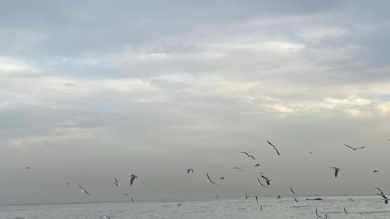 Обои море, водоем, жидкость, жидкий, окружающая среда в разрешении 1280x720