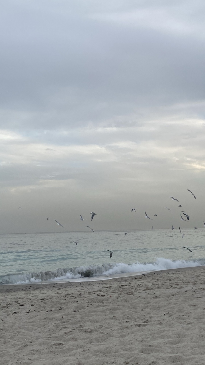 Обои море, водоем, жидкость, жидкий, окружающая среда в разрешении 720x1280