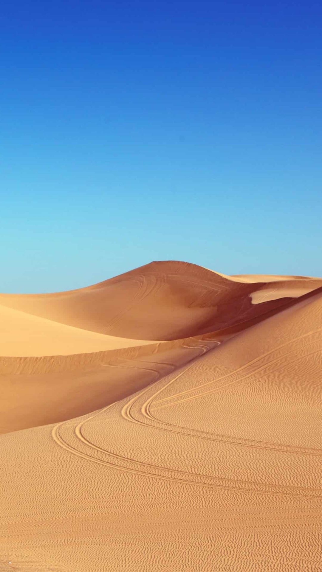 Обои пустыня, Дюна, песок, эрг, эолийские рельефы в разрешении 1080x1920