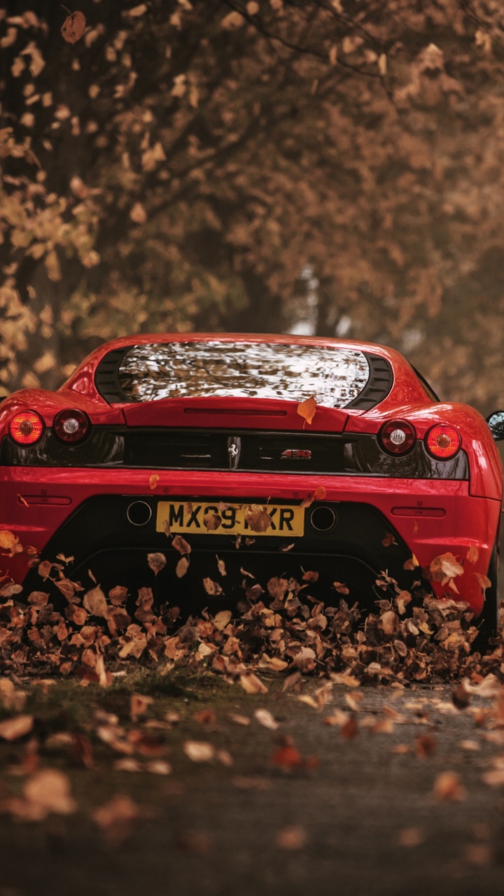 Обои Энзо Феррари, спорткар, Ferrari, Феррари 458, laferrari в разрешении 720x1280