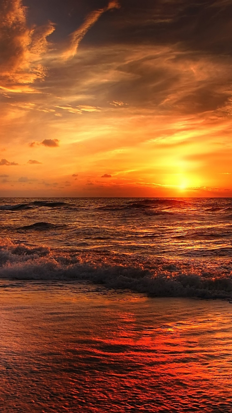 Обои Сансет Бич, пляж, закат, горизонт, природа в разрешении 750x1334