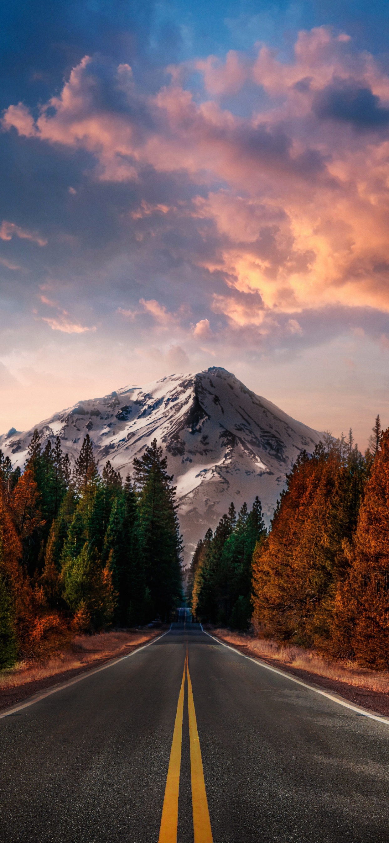 Обои Анджунабиты, Анджунадип, soundcloud, облако, растение в разрешении 1242x2688