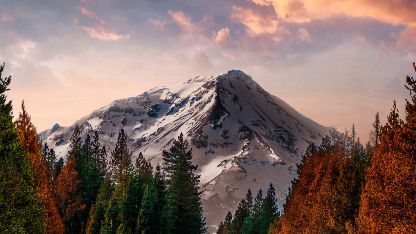 Обои Анджунабиты, Анджунадип, soundcloud, облако, растение в разрешении 1366x768