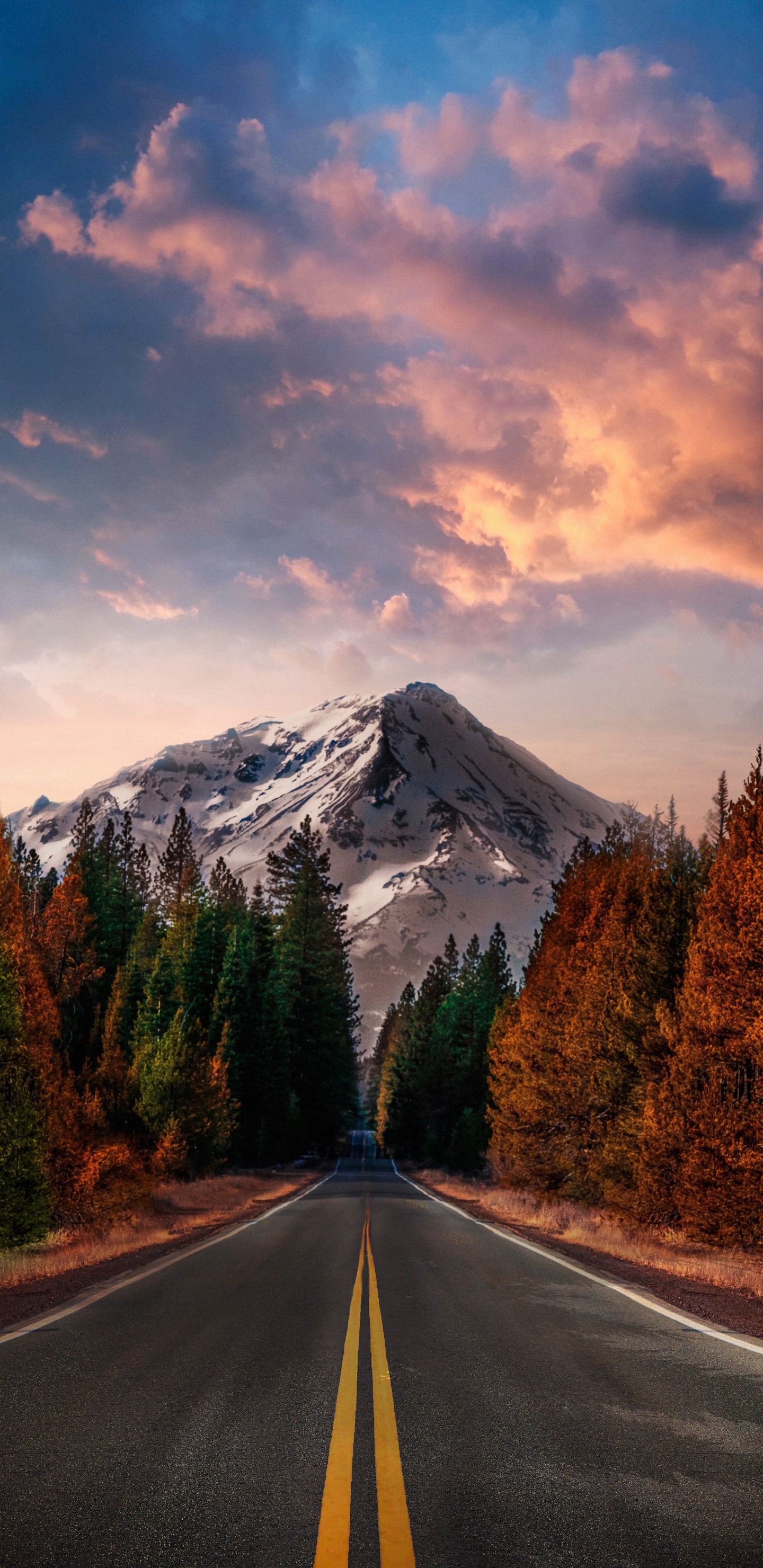 Обои Анджунабиты, Анджунадип, soundcloud, облако, растение в разрешении 1440x2960