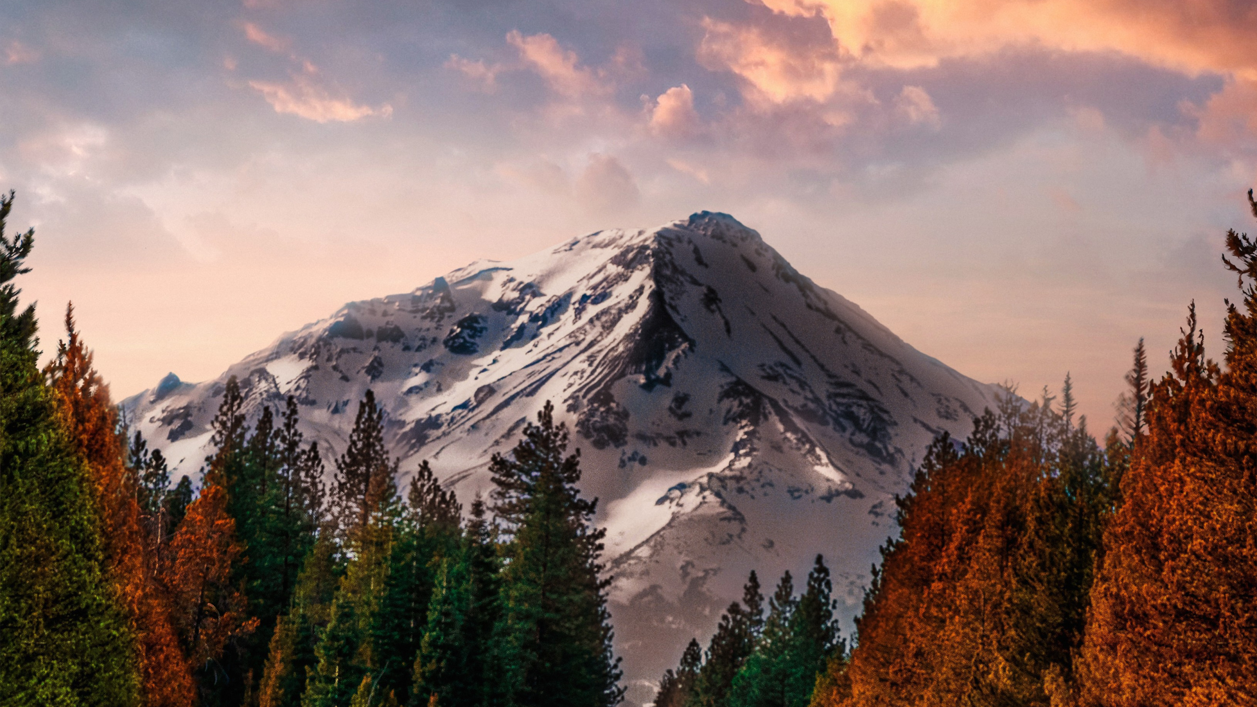 Обои Анджунабиты, Анджунадип, soundcloud, облако, растение в разрешении 2560x1440