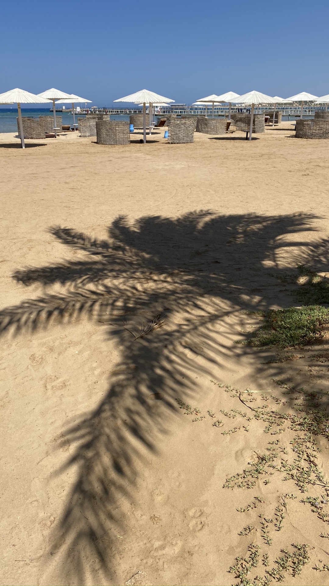 Обои песок, тень, солнечный свет, пляж, палатка в разрешении 1080x1920