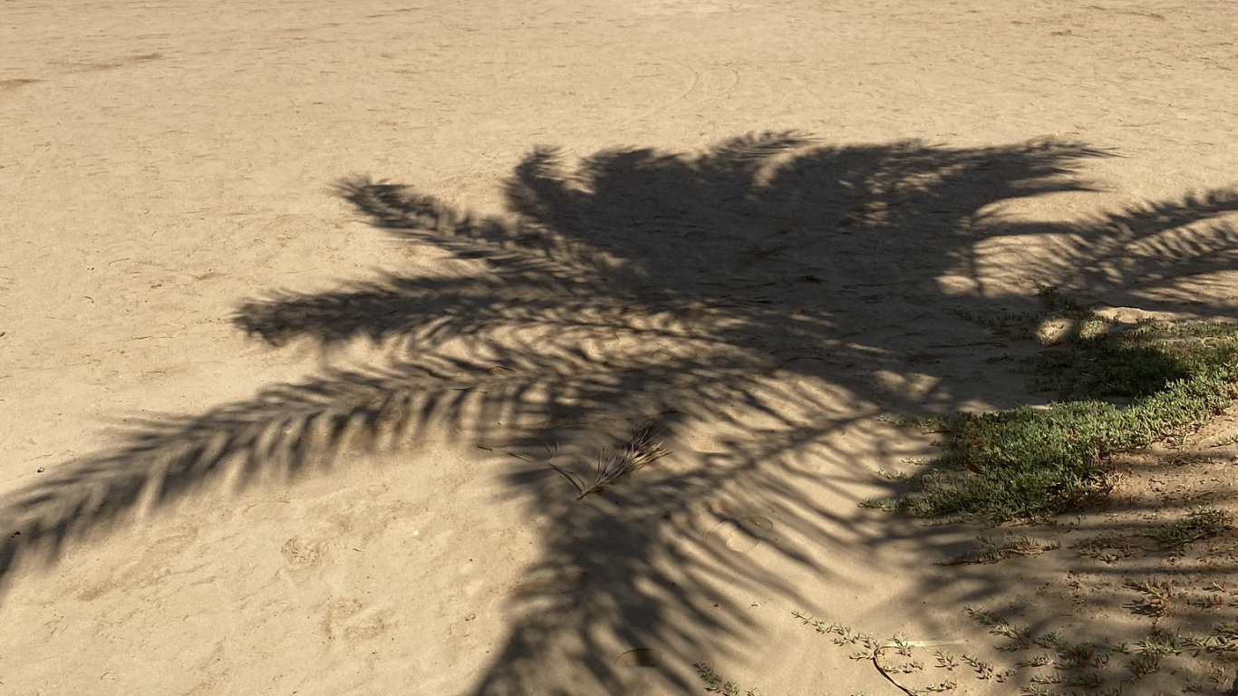 Обои песок, тень, солнечный свет, пляж, палатка в разрешении 1366x768