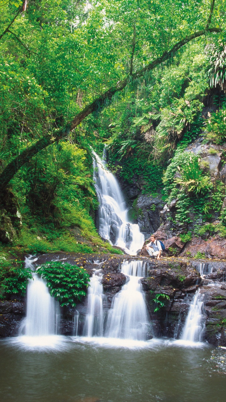 Обои Тропические Леса Гондваны, тропические леса, водопад, гидроресурсы, водоем в разрешении 720x1280