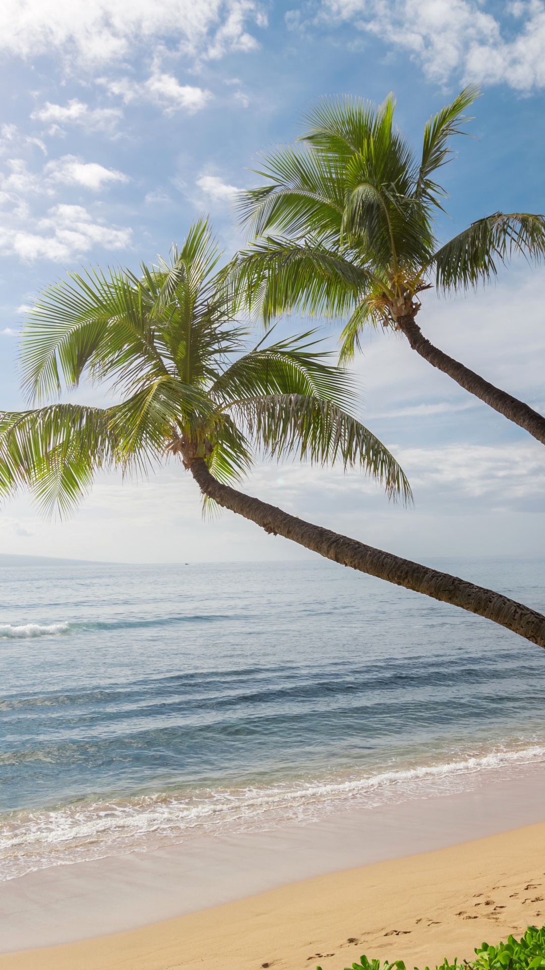 Обои волны океан песок пальмы, пальмовые рощи, Гавайи, побережье, океан в разрешении 1080x1920