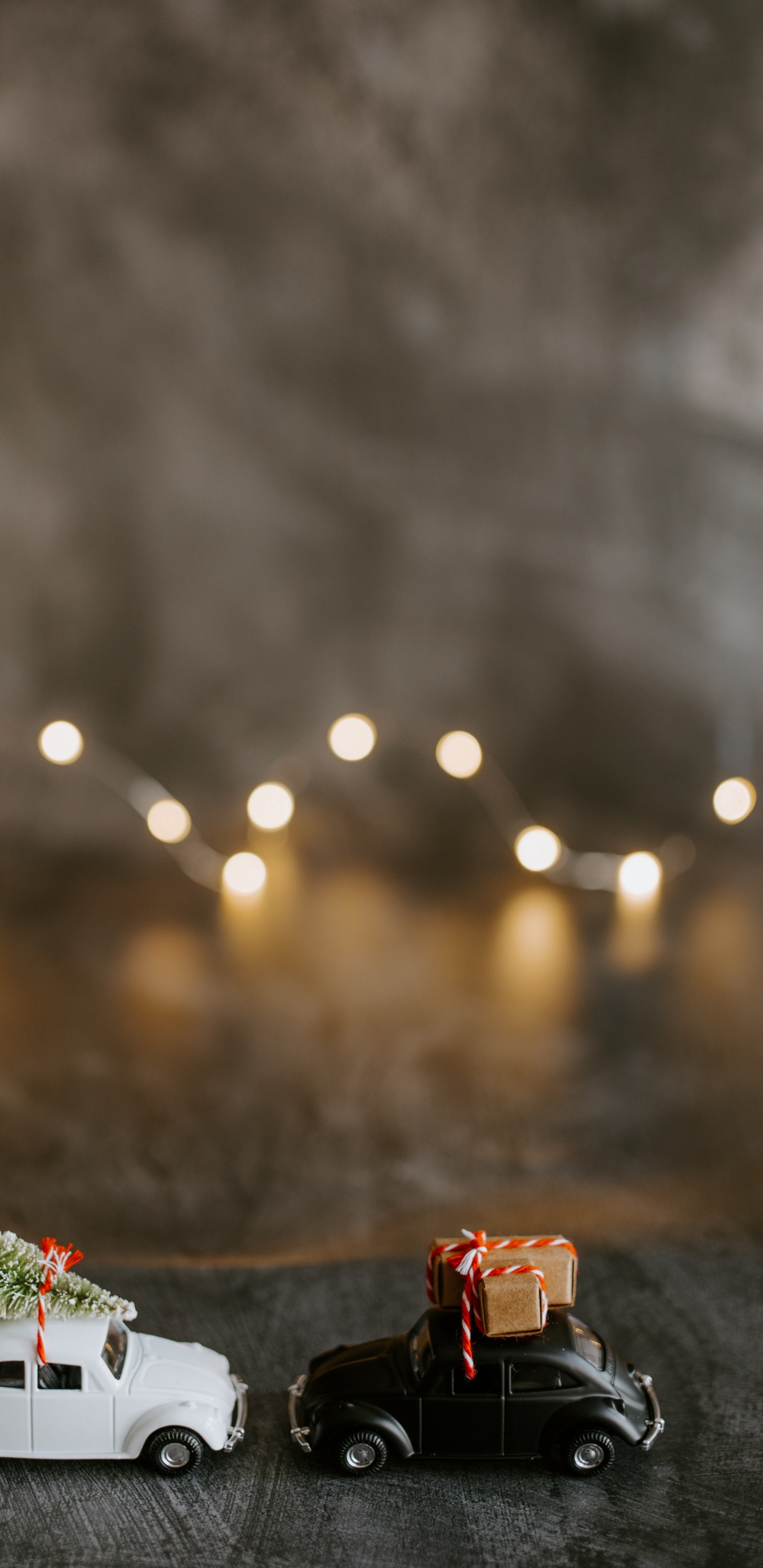 Обои гоночный автомобиль, модель автомобиля, Король, Радиоуправляемая машина, пейзаж в разрешении 1440x2960