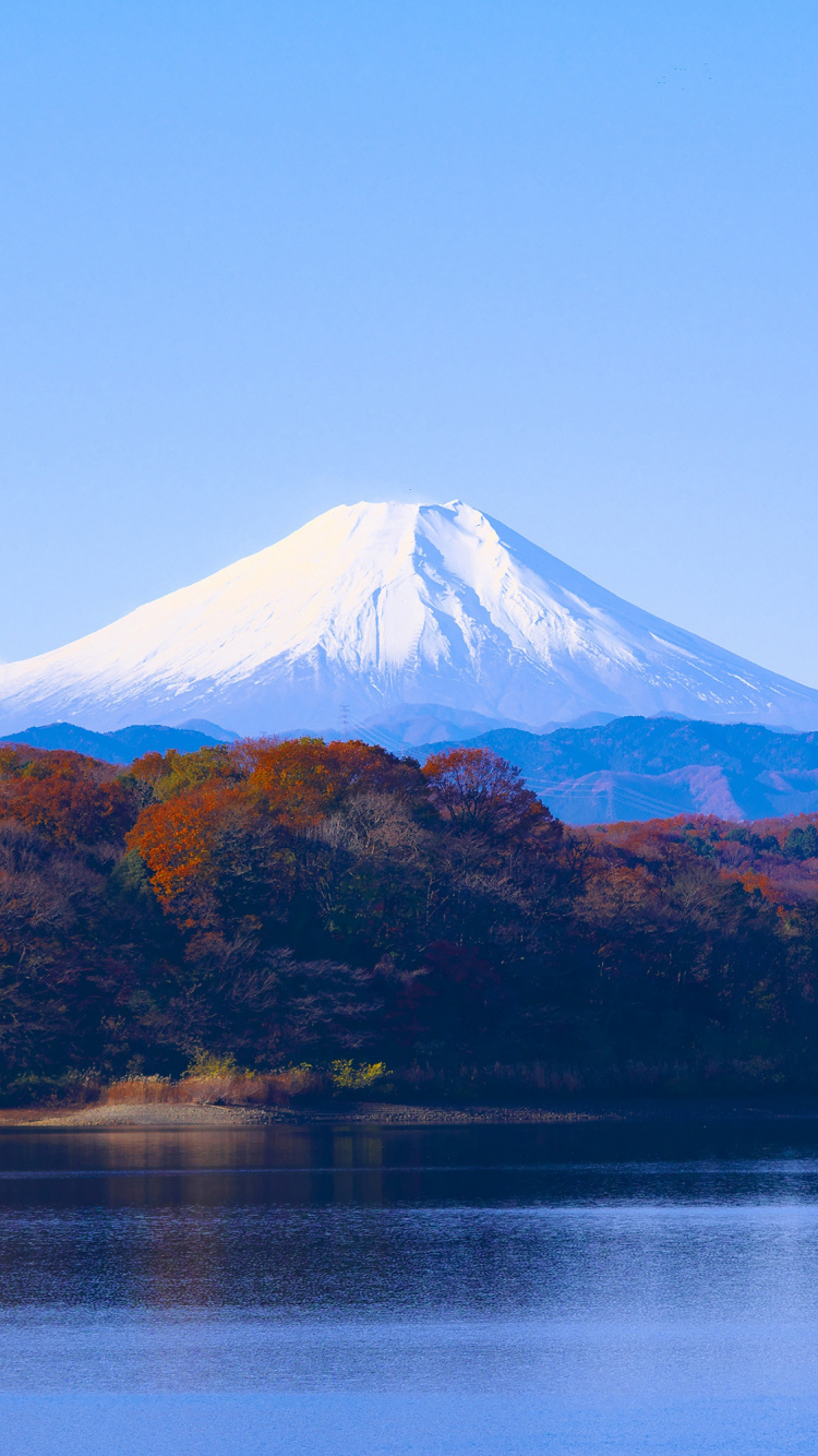Обои гора Фудзи, Озеро Кавагути, Озеро Мотосу, природа, гора в разрешении 750x1334