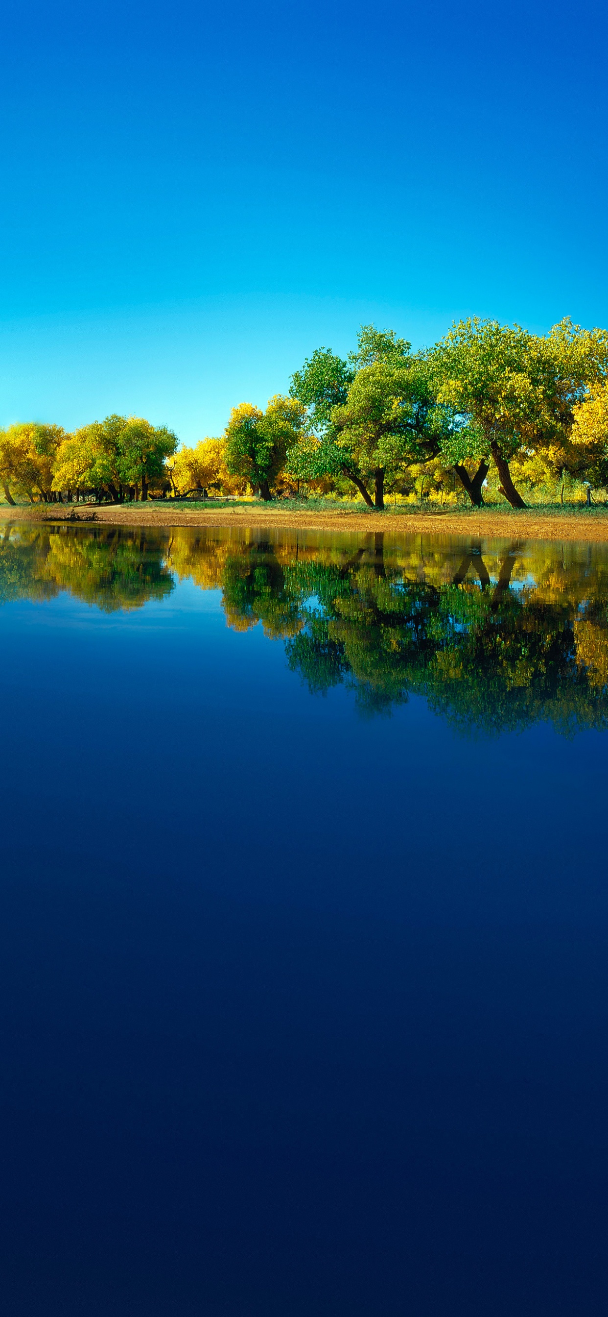 Обои Huawei, Huawei Mate, Huawei Mate 40 Pro, huawei p40, huawei mate 30 в разрешении 1242x2688