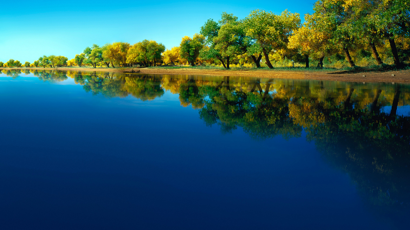 Обои Huawei, Huawei Mate, Huawei Mate 40 Pro, huawei p40, huawei mate 30 в разрешении 1366x768