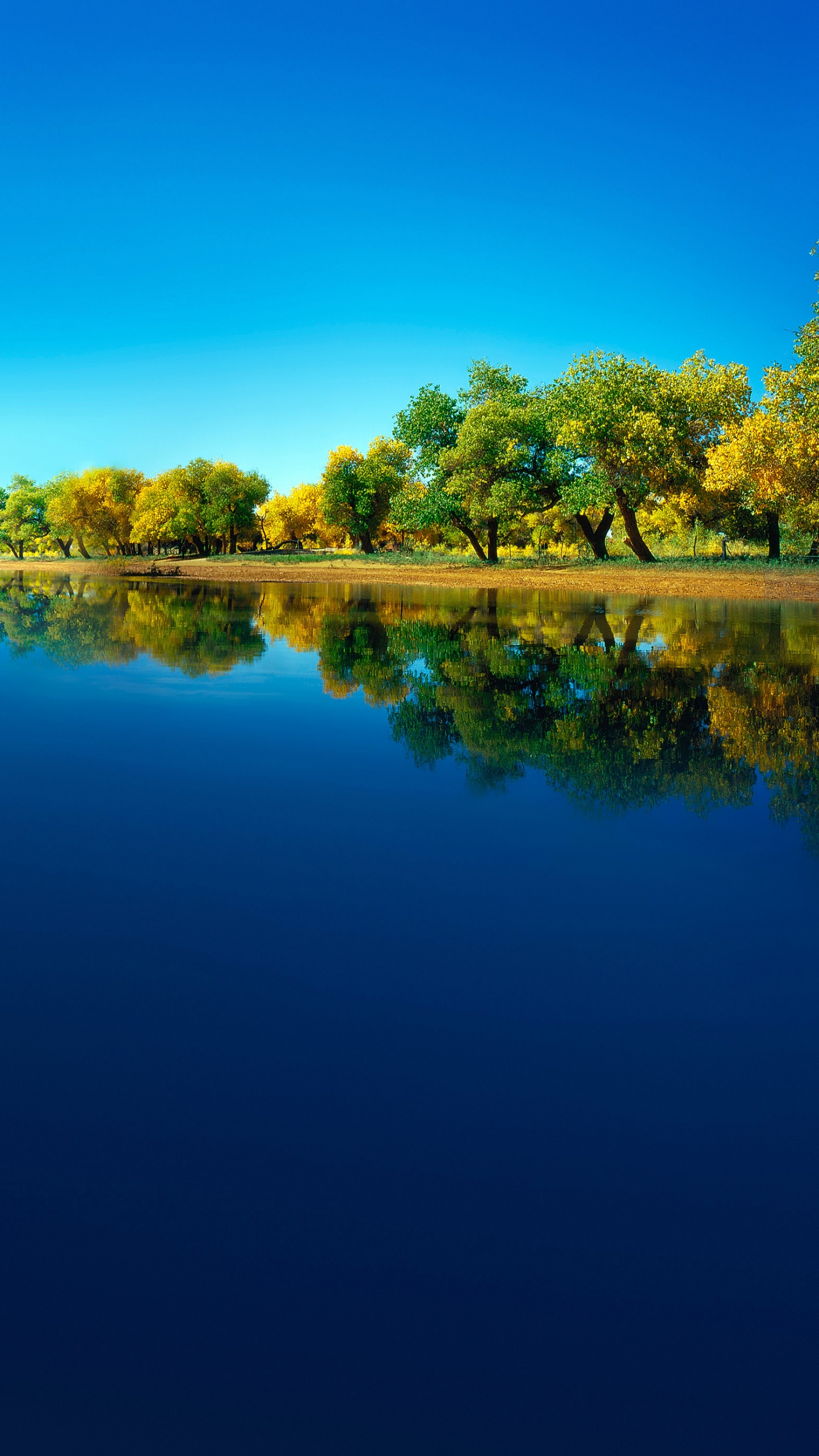 Обои Huawei, Huawei Mate, Huawei Mate 40 Pro, huawei p40, huawei mate 30 в разрешении 1440x2560