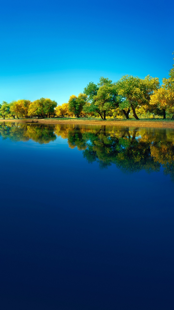 Обои Huawei, Huawei Mate, Huawei Mate 40 Pro, huawei p40, huawei mate 30 в разрешении 720x1280