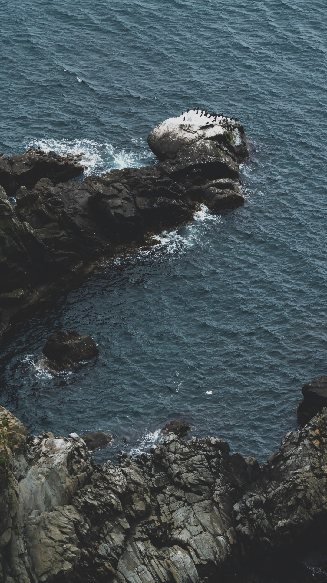 Обои прибрежные и океанические рельефы, берег, океан, klippe, побережье в разрешении 1080x1920