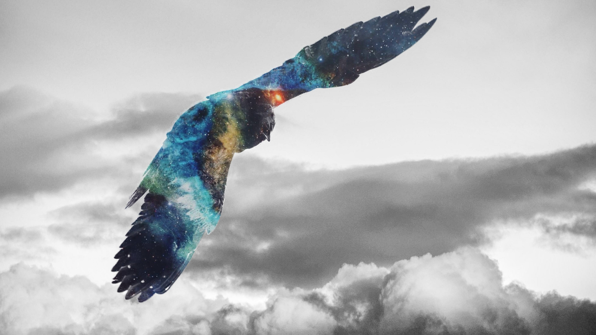 Обои золотой Орел, белоголовый Орлан, Орел, хищная птица, птица в разрешении 1920x1080