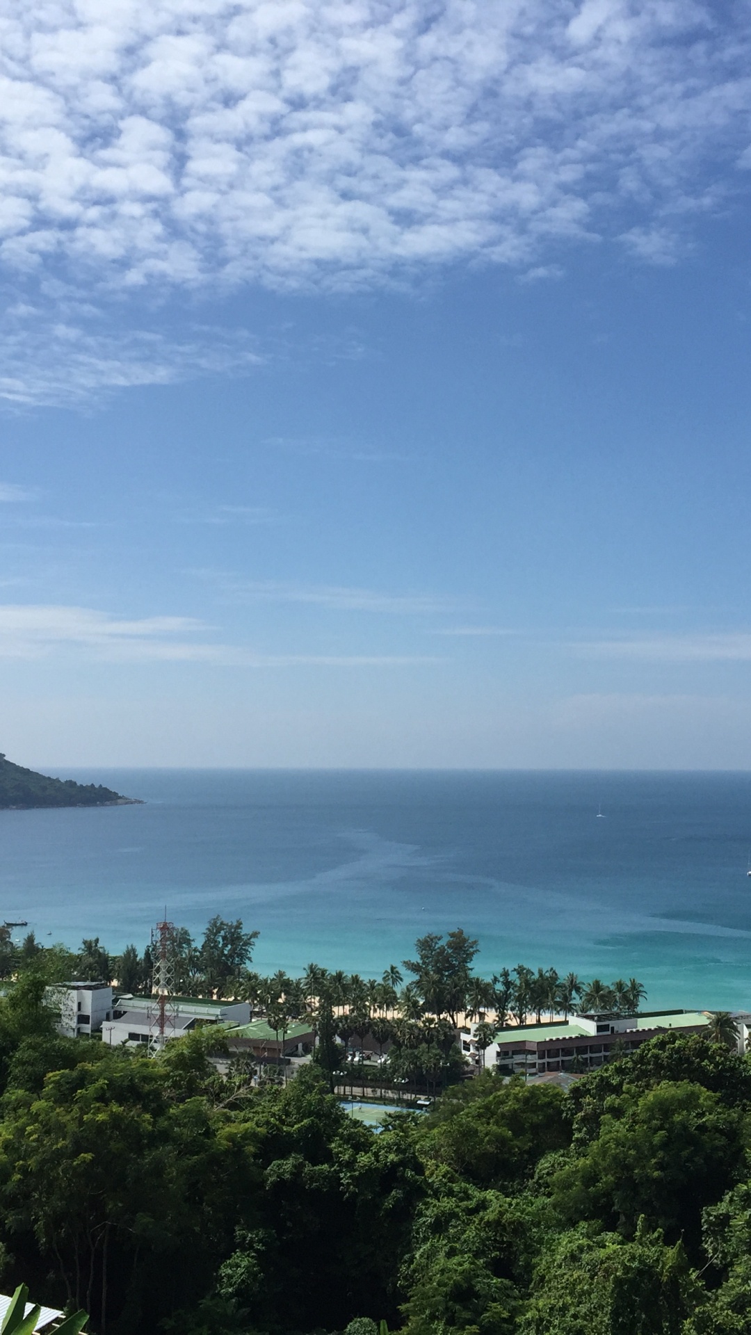 Обои растительность, пейзаж, побережье, океан, горизонт в разрешении 1080x1920