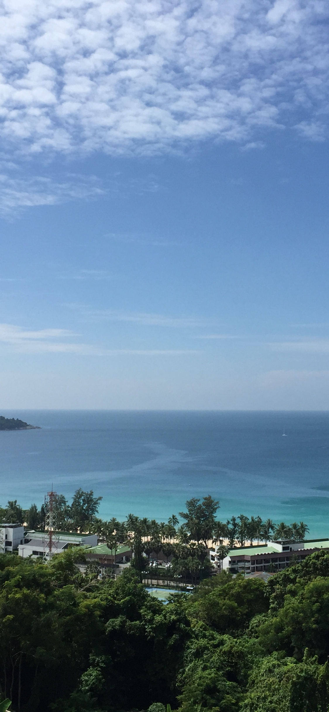 Обои растительность, пейзаж, побережье, океан, горизонт в разрешении 1125x2436