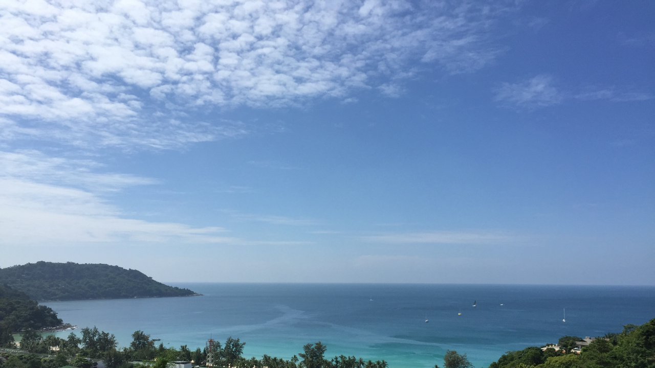 Обои растительность, пейзаж, побережье, океан, горизонт в разрешении 1280x720