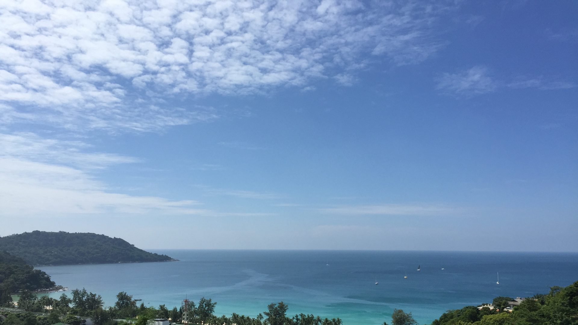 Обои растительность, пейзаж, побережье, океан, горизонт в разрешении 1920x1080