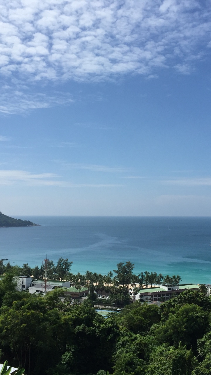 Обои растительность, пейзаж, побережье, океан, горизонт в разрешении 720x1280