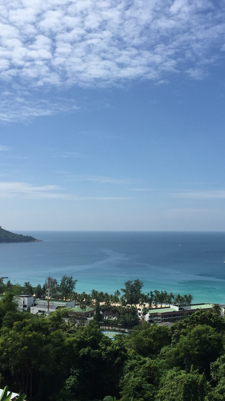 Обои растительность, пейзаж, побережье, океан, горизонт в разрешении 750x1334