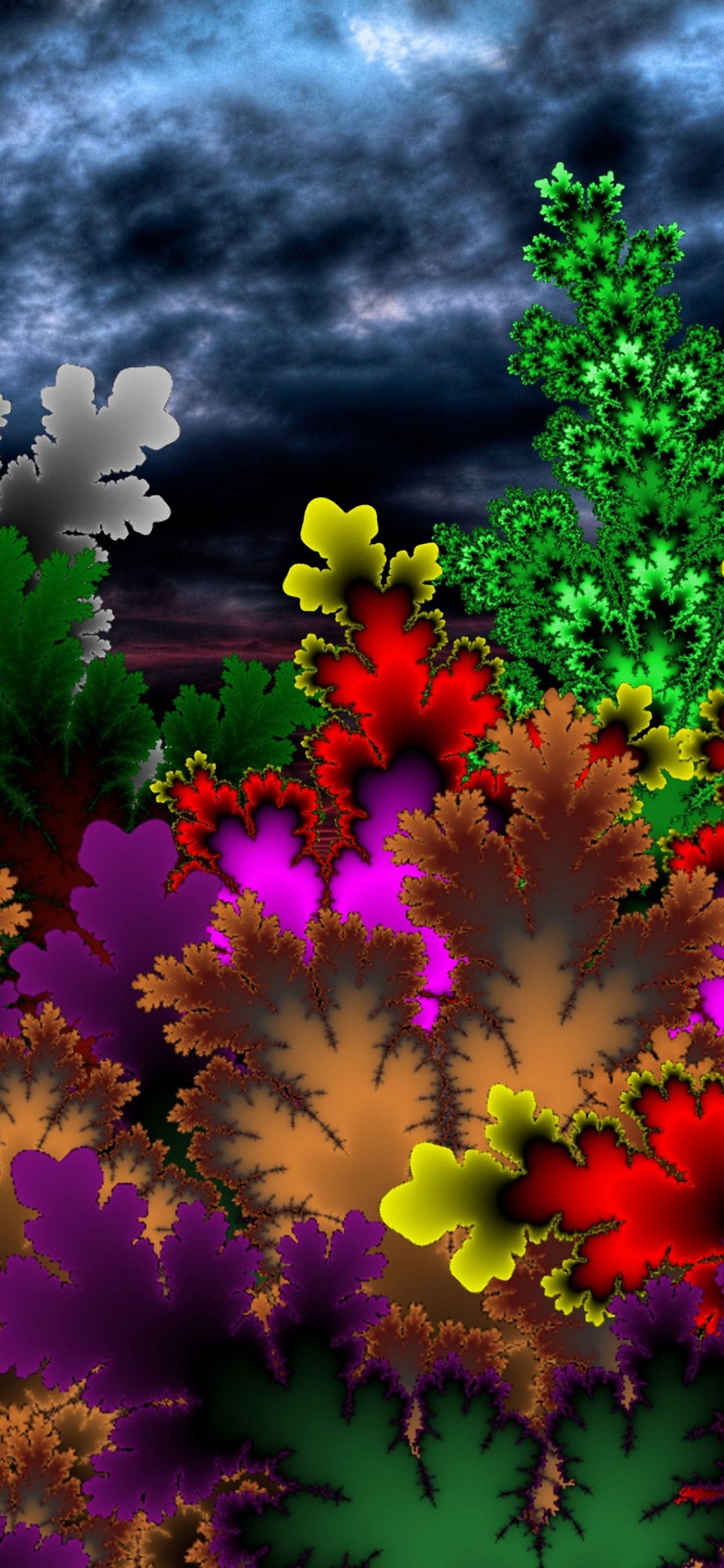 Обои желтый, природа, цветок, лист, ботаники в разрешении 1125x2436