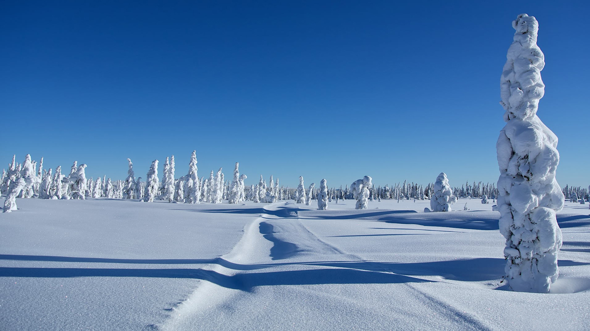 Обои зима, снег, замораживание, лед, Арктика в разрешении 1920x1080