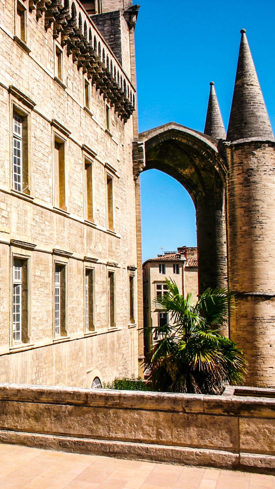 Обои Университет Монпелье, Медицинский факультет Монпелье, медицинская школа, здание, средневековая архитектура в разрешении 1080x1920