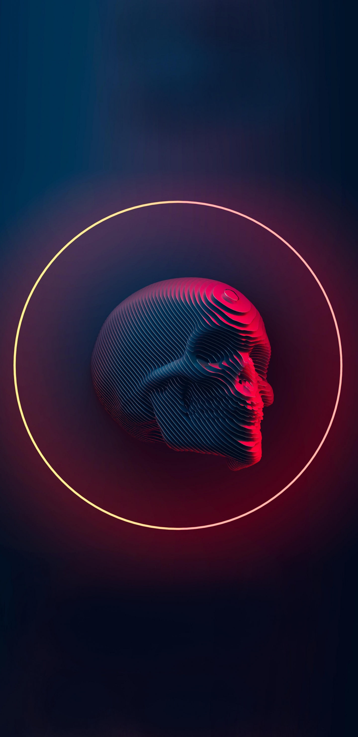 Обои череп, срез черепа, пурпурный цвет, неон, кость в разрешении 1440x2960