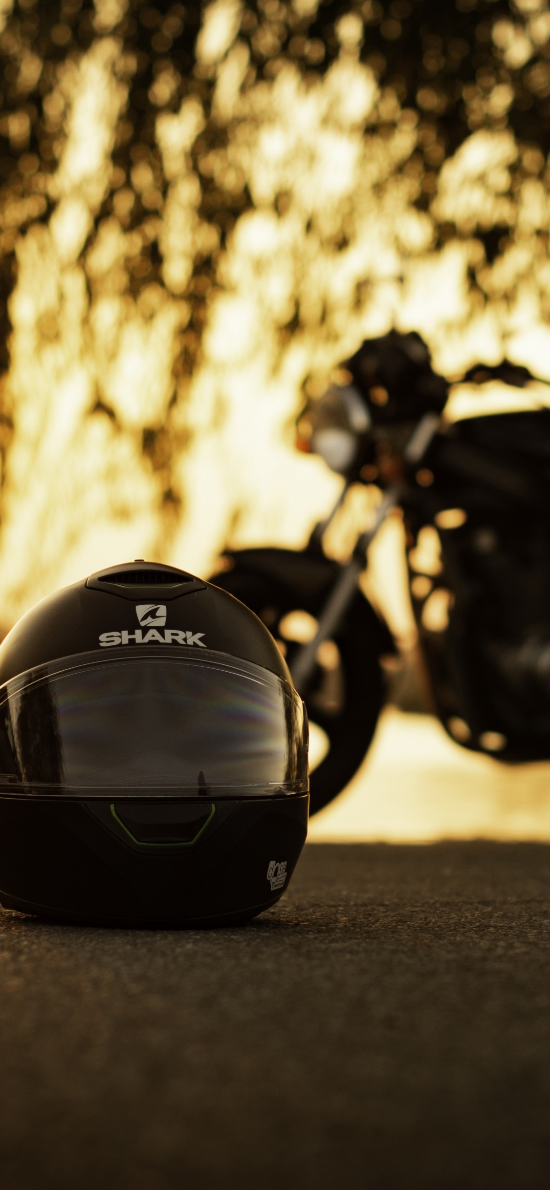 Обои мотоциклетный шлем, мотоцикл, шлем, дерево, автомобильный экстерьер в разрешении 1125x2436