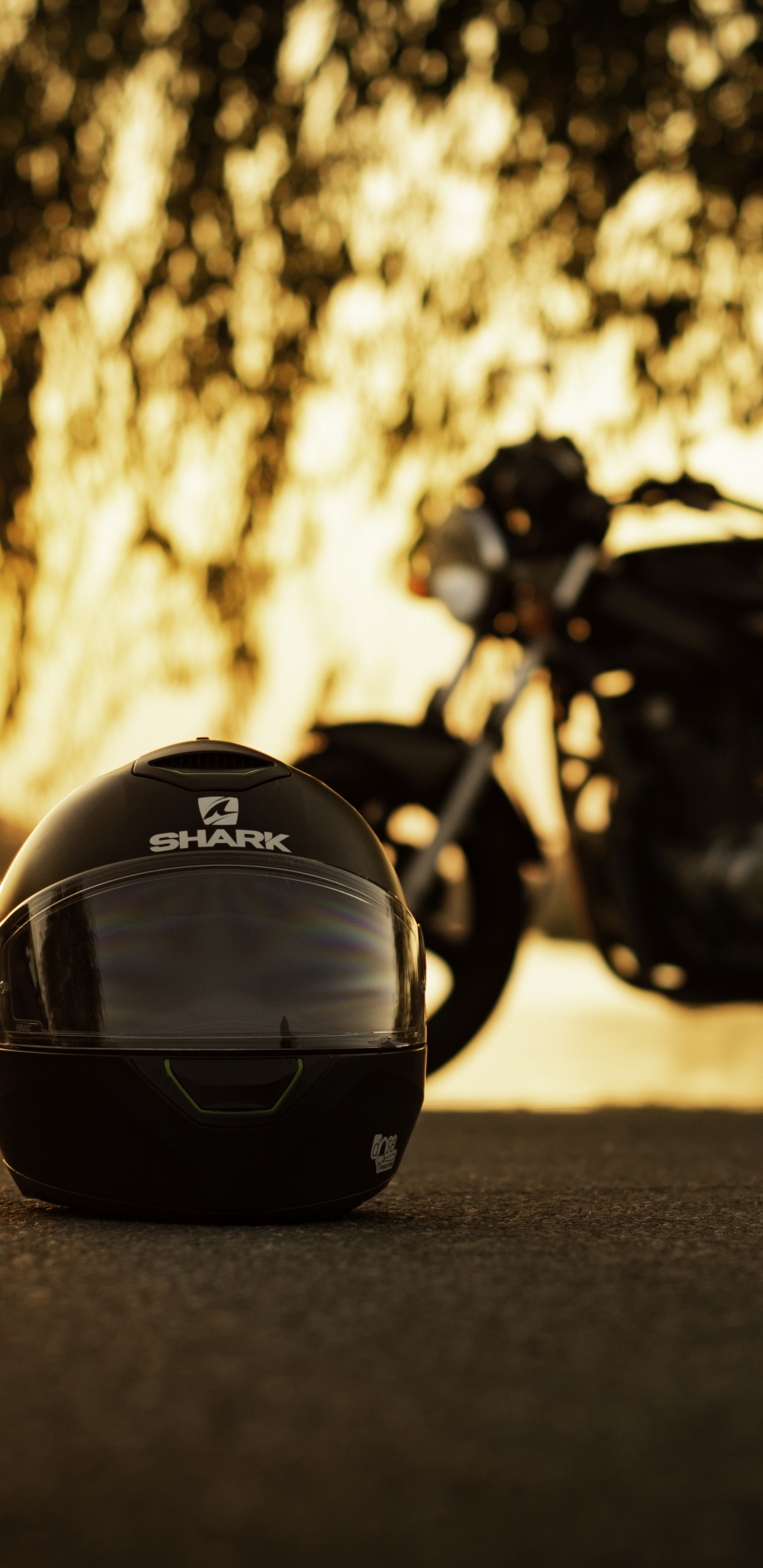 Обои мотоциклетный шлем, мотоцикл, шлем, дерево, автомобильный экстерьер в разрешении 1440x2960