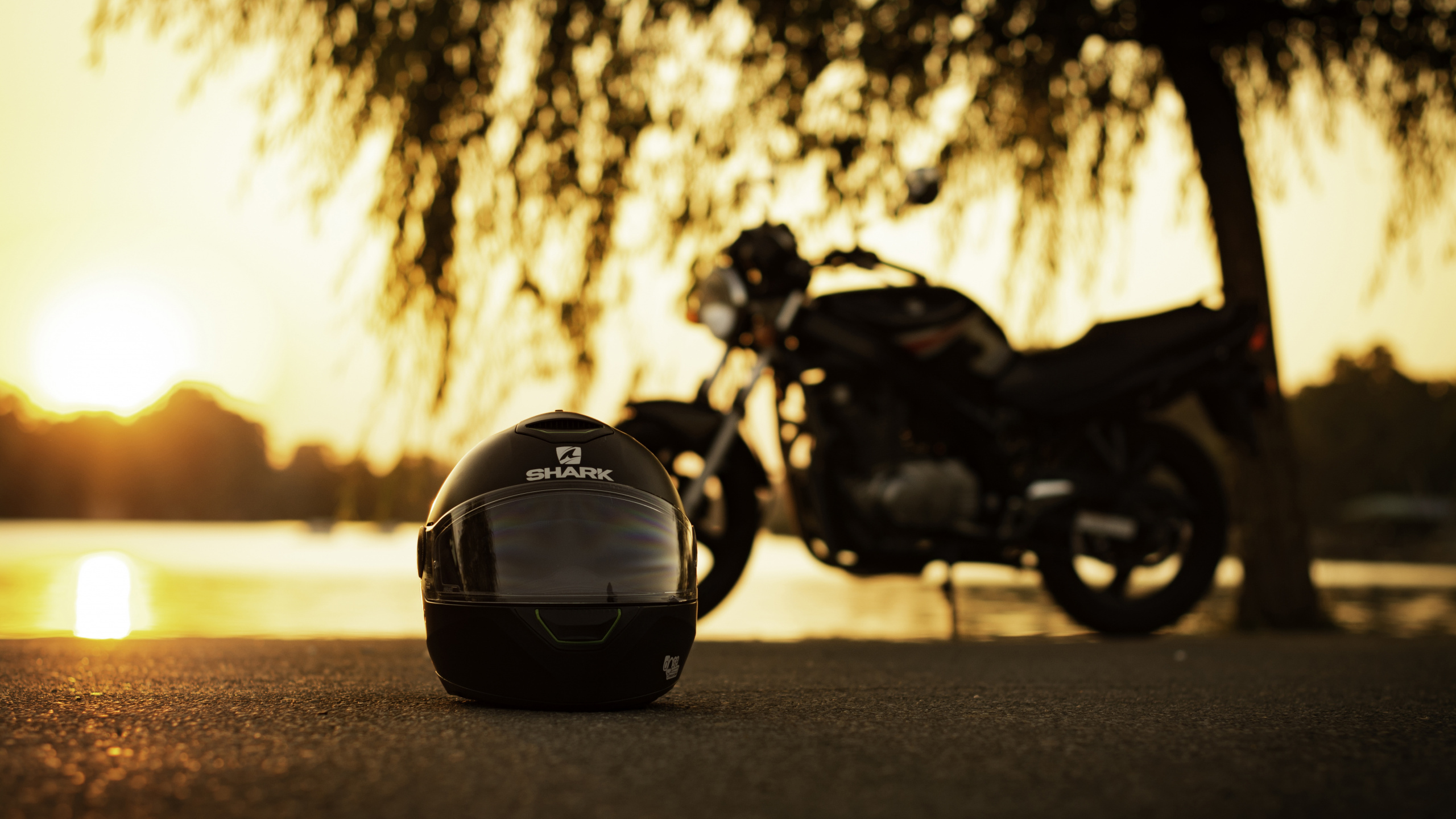 Обои мотоциклетный шлем, мотоцикл, шлем, дерево, автомобильный экстерьер в разрешении 2560x1440