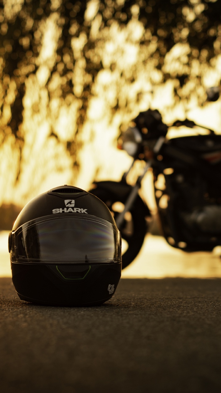 Обои мотоциклетный шлем, мотоцикл, шлем, дерево, автомобильный экстерьер в разрешении 720x1280