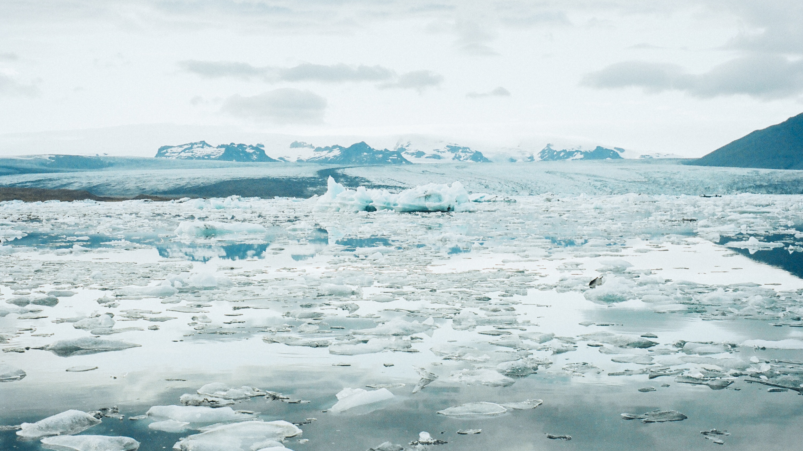 Обои Северный Ледовитый океан, ледник, айсберг, лед, ледниковое озеро в разрешении 2560x1440